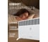 Электрический конвектор Royal Clima RIBERA Econo REC-RE2000M 6