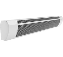 Электрическая тепловая завеса Timberk THC WT1 12M