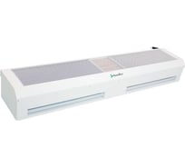 Водяная тепловая завеса Ballu BHC 15 WR/45