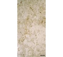 Отопительная панель Stiebel Eltron MHJ 120 187773