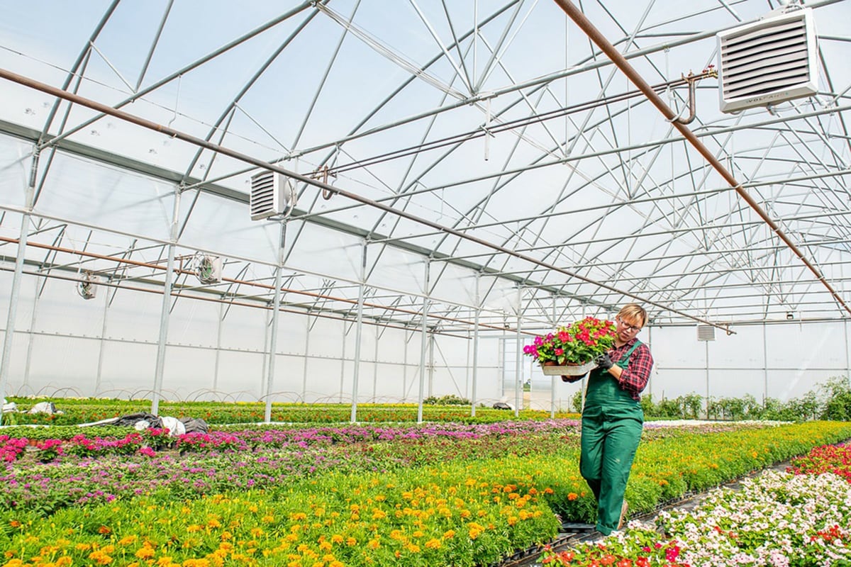 Воздухонагреватель Volcano модель NEW VR Mini 3 AC (монтажная консоль в ...