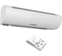 Электрическая тепловая завеса Ballu BHC-L10-S06