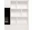 Каминокомплект RealFlame Dixon 50 wt + Saphir-s 50 10021498 4