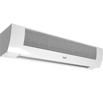 Электрическая тепловая завеса Ballu BHC-М20-T12