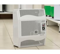 Газовый настенный конвектор Hosseven HDU-5 DKV Fan