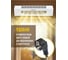 Электрическая завеса Royal Clima  HEATGUARD RAH-HG1.0E6M 3