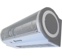 Тепловая завеса Dantex RZ-31015DM2N 310DM203