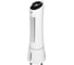 Охладитель воздуха Ballu Eifel BCOOL-05L EF НС-1770098 1