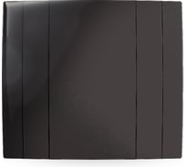 Вентилятор РВС 100 Альтаир энергосберегающий, 8 Вт, 25 дБ, 85 м3/ч, черный обсидиан 10418081