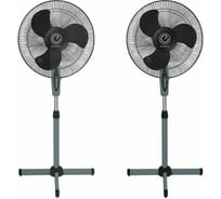 Набор вентиляторов Energy 2шт EN-1659 напольный 16 черный 030382