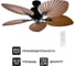 Потолочный вентилятор Honolulu DREAMFAN 33500DC 5