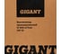 Промышленный вентилятор Gigant 12500 м3/час GIF-12 18