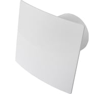 Вентилятор бытовой с обратным клапаном Эвент 100Ток