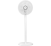 Напольный вентилятор EVOLUTION AL-706R