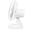 Вентилятор настольный Blackton Bt F1121 White-Gray 86206622 1