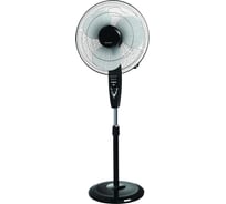 Вентилятор напольный Rolsen RSF-1650RT