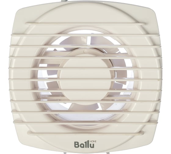 Вытяжной вентилятор Ballu Fort Alfa FA-100