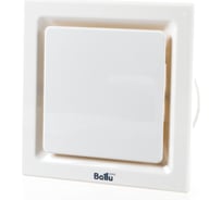 Вытяжной вентилятор Ballu Fort Quadro-2 FQ2-250