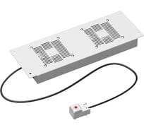 Потолочный модуль DKC 2 вентилятора с термостатом для крыши навесных 19" it-корпусов дкс серии sti шириной 600мм, ral7035 R5VSIT6002FTG