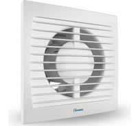 Вентилятор Zernberg granat 100 10222401