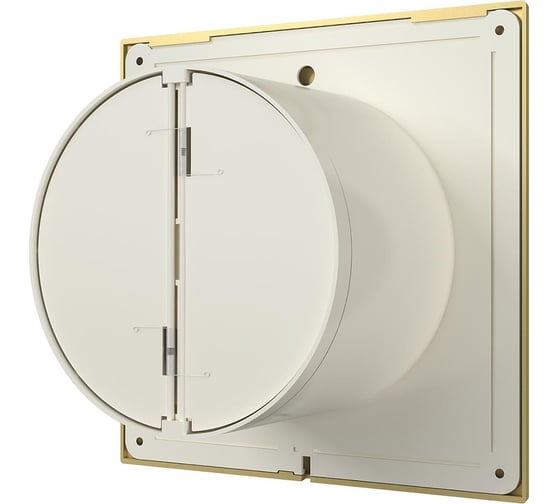 Осевой вытяжной вентилятор с обратным клапаном DICITI SLIM 5C champagne D 125 87-997