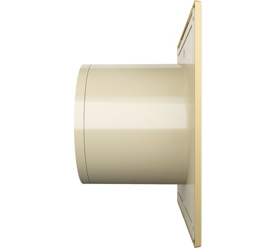Осевой вытяжной вентилятор с обратным клапаном DICITI SLIM 5C champagne D 125 87-997