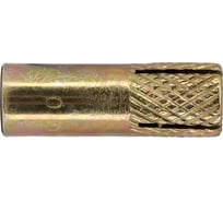 Забивной анкер ВсВ латунный, М10, 100 шт. БП-00002795