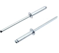 Вытяжные заклепки BOWT сталь-сталь 3,2x16 100 шт A03209