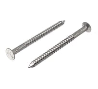 Ершёные гвозди BOWT без покрытия 2,5x40 10 шт G02501