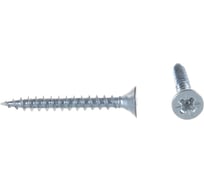 Саморез ШУЦ ГОСКРЕП 3.0х25, 200 шт., пл.конт 280 мл 1-0031580