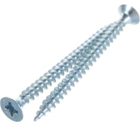 Саморез ШУЦ ГОСКРЕП 4.0х50, 120 шт., пл.конт 280 мл 1-0031940