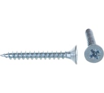 Саморез ШУЦ ГОСКРЕП 5.0х40, 500 шт., б.пл.конт. 1000 мл 1-0031090