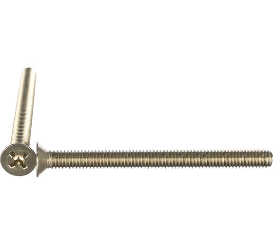 Винт ГОСКРЕП DIN 965 с пот. гол. 6х70 нержав. сталь 50 шт., пласт. конт. 10-0023440 1