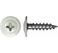 Саморез ГОСКРЕП ПШ 4,2х19 RAL 9003 300 шт. 1-0017240