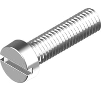 Винт Tech-Krep DIN84 4х30 ЦИЛИНДР. ГОЛ. ШЛИЦ нерж.ст. А2, 6 шт. 141730