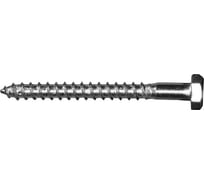 Сантехнический шуруп Tech-Krep DIN 571 с шестигр.гол.8х80 нерж.ст. А2 2шт 141817