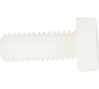 Болт Tech-Krep DIN933 М6х16 полиамид 6 шт 144196