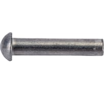 Алюминиевая заклепка с полукгруглой головой Tech-Krep 3,0х16 ГОСТ 10299-80 36 шт 144215
