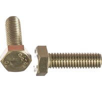 Болт Госкреп DIN 933 с шестигр. гол. с полн. рез. 6х20 А2 80 шт., пласт. конт. 10-0015500