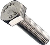 Болт ГОСКРЕП DIN 933 с шестигр. гол. с полн. рез. 8х25 А2 60 шт., пласт. конт. 10-0015600