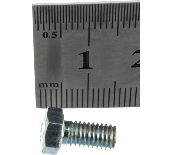 Болт ЗУБР ГОСТ 7798-70 M5 x 10 мм 5 кг кл. пр. 5.8 оцинк.  303080-05-010