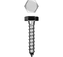 Шурупы ШДШ с шестигранной головкой ЗУБР /DIN 571/ 60 х 10 мм 2 шт 300456-10-060