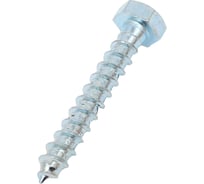 Шуруп Саморезик 8х50 шестигр, оцинк. DIN 571 100шт DIN571-8/50-100