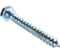 Шуруп Саморезик 6х50 шестигр, оцинк. DIN 571 170шт DIN571-6/50-170