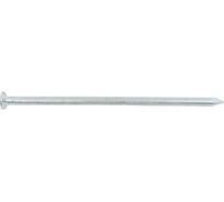 Строительные гвозди BOWT оцинкованные 4,0x100 100 шт C03675