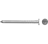 Толевые гвозди BOWT оцинкованные 2,5x40 100 шт T03896