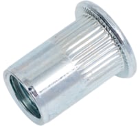 Резьбовые заклепки BOWT белый цинк м10 20 шт V03381