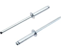Вытяжные заклепки BOWT сталь-сталь 3,2x16 50 шт A03208