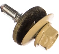 Кровельный саморез Саморезик 5,5х19 RAL1014 слоновая кость 250шт SKRAL1014-5,5х19-250
