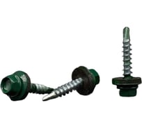 Кровельные саморезы BOWT ral 6005, 4.8x28 мм, 100 шт. R02747